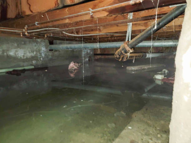 Best Sewage cleanup and water damage restoration  in USA